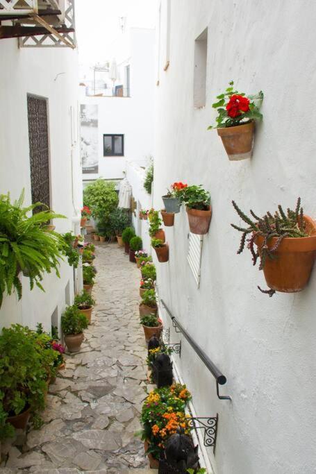 Casa Anicca Daire Vejer de la Frontera Dış mekan fotoğraf