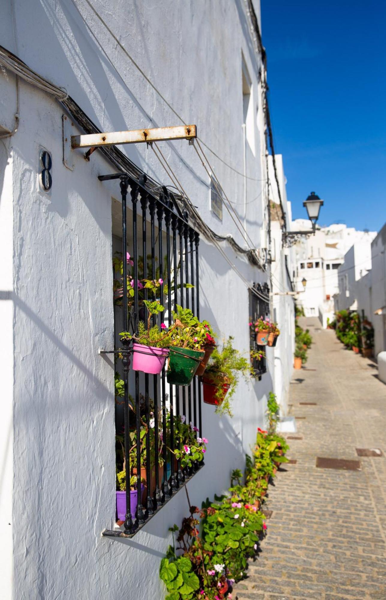 Casa Anicca Daire Vejer de la Frontera Dış mekan fotoğraf